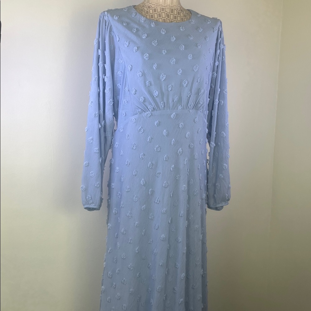 Eri + Ali Blue Flowy Flocked Maxi Dress